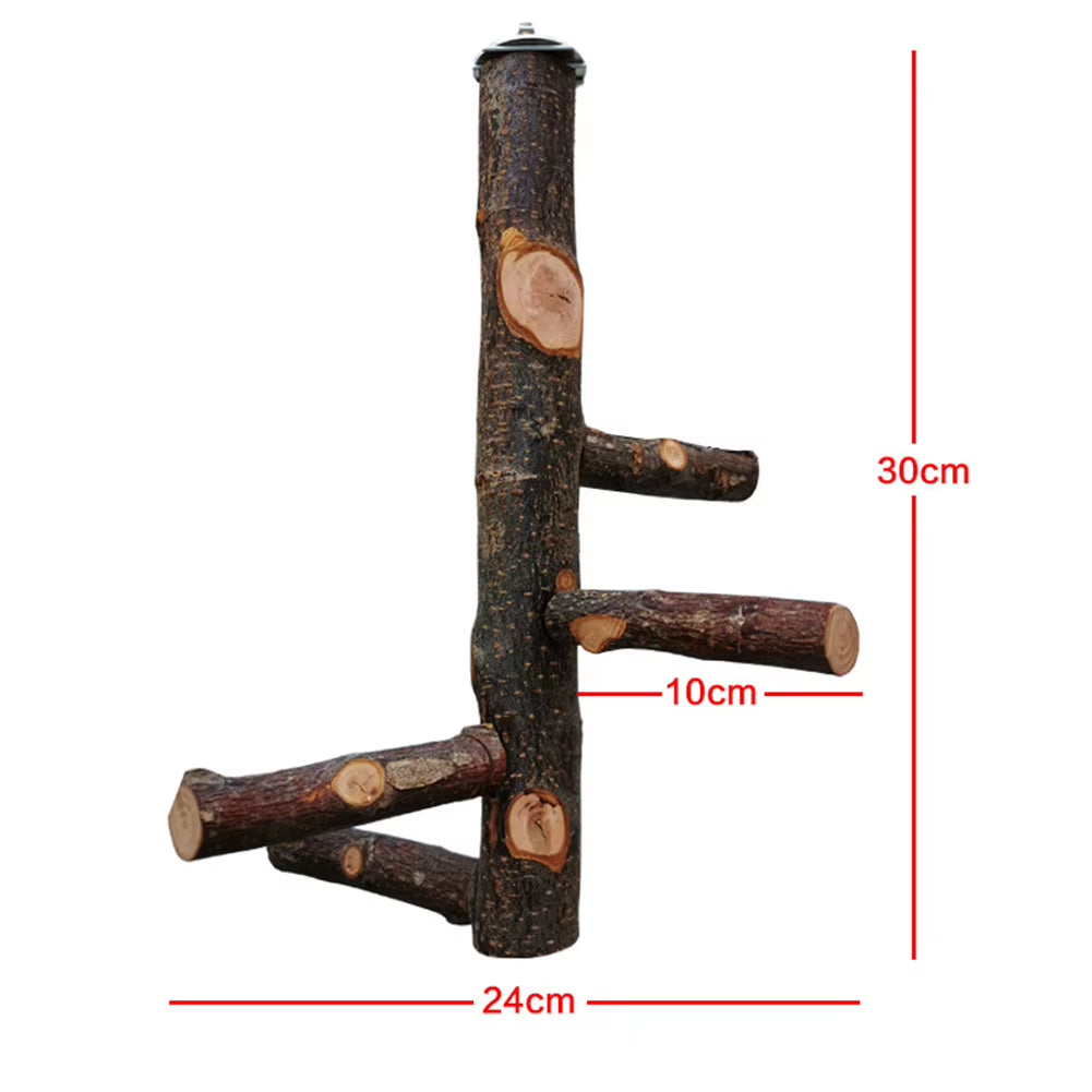 Pet Parrot Stand Solid Wood Standing Stick Pole Biting Molar Claw Grinding Toy Bird Cage Supplies Pets Product Bird Accessories