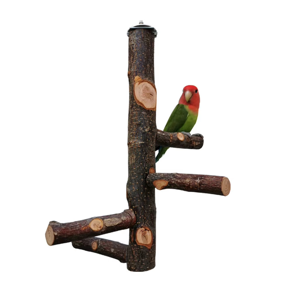 Pet Parrot Stand Solid Wood Standing Stick Pole Biting Molar Claw Grinding Toy Bird Cage Supplies Pets Product Bird Accessories