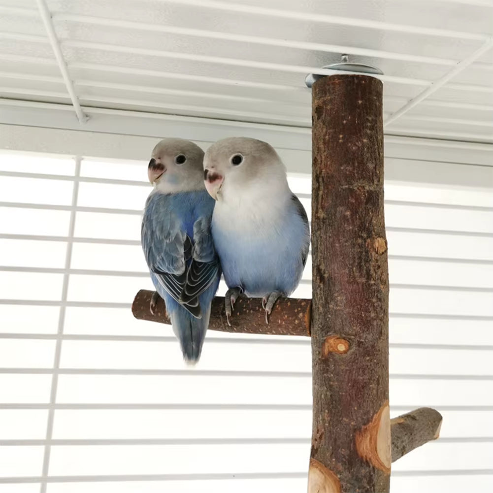 Pet Parrot Stand Solid Wood Standing Stick Pole Biting Molar Claw Grinding Toy Bird Cage Supplies Pets Product Bird Accessories